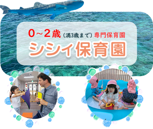 シシィ保育園 シシィ保育園